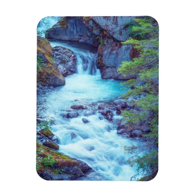 Hamma Hamma Creek Magnet (Vertical)