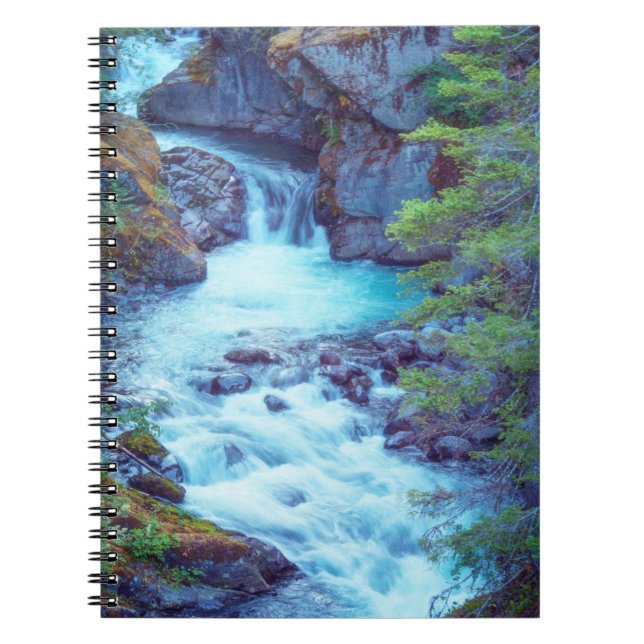 Hamma Hamma Creek Notebook (Front)