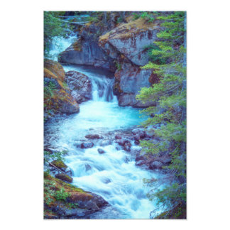 Hamma Hamma Creek Photo Print