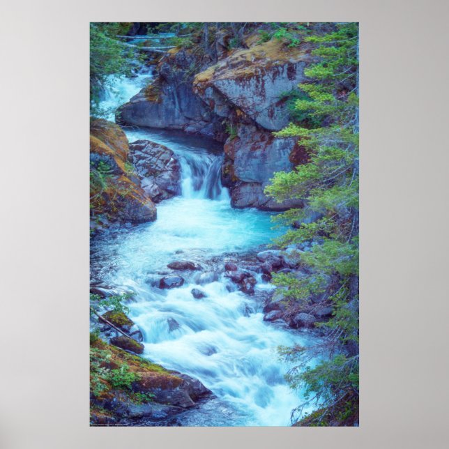 Hamma Hamma Creek Poster (Front)