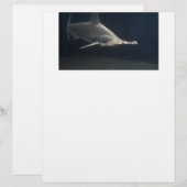 Hammerhead Shark (Front/Back)