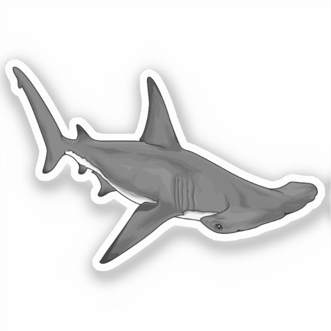 Hammerhead Shark B Sticker (Front)