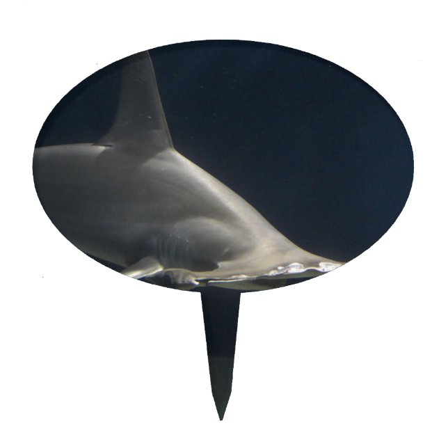 Hammerhead Shark Cake Topper (Front)