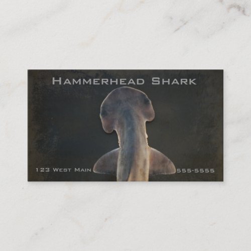 Hammerhead Shark Florida Business Card