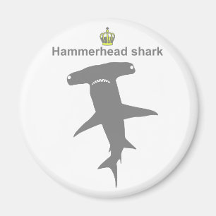 Hammerhead shark g5 magnet