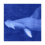Hammerhead Shark  Invitations