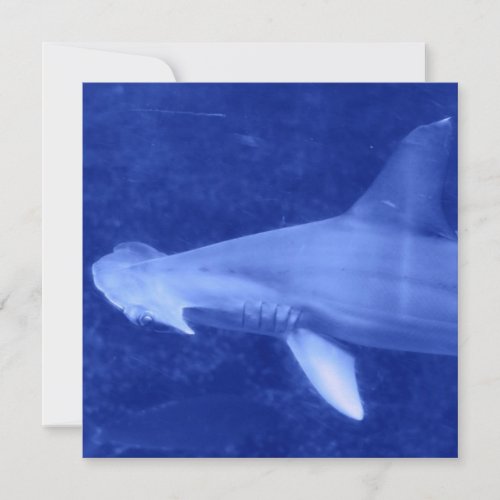 Hammerhead Shark  Invitations