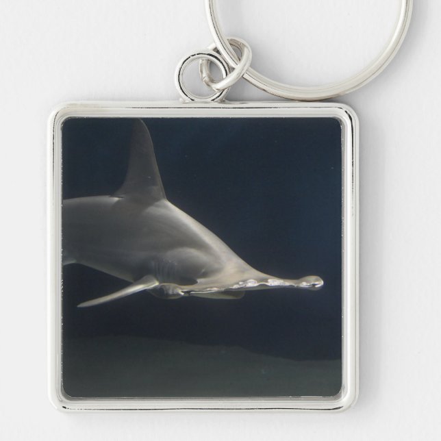 Hammerhead Shark Keychain (Front)