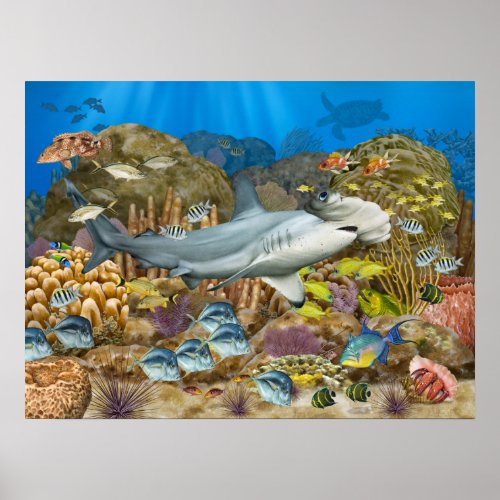 Hammerhead Shark Over Coral Reef Poster