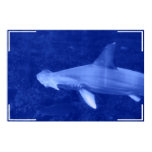 Hammerhead Shark Poster