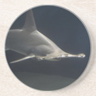 Hammerhead Shark Sandstone Coaster