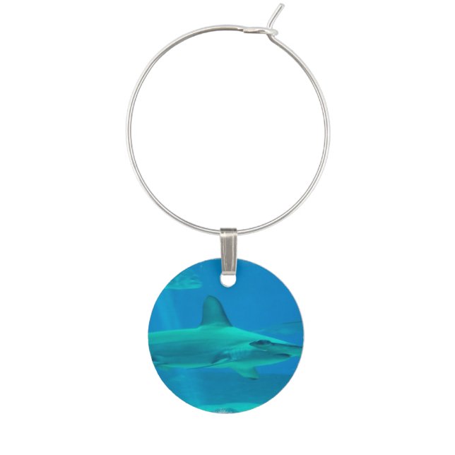 Hammerhead Shark Underwater Wine Glass Charm (Front)