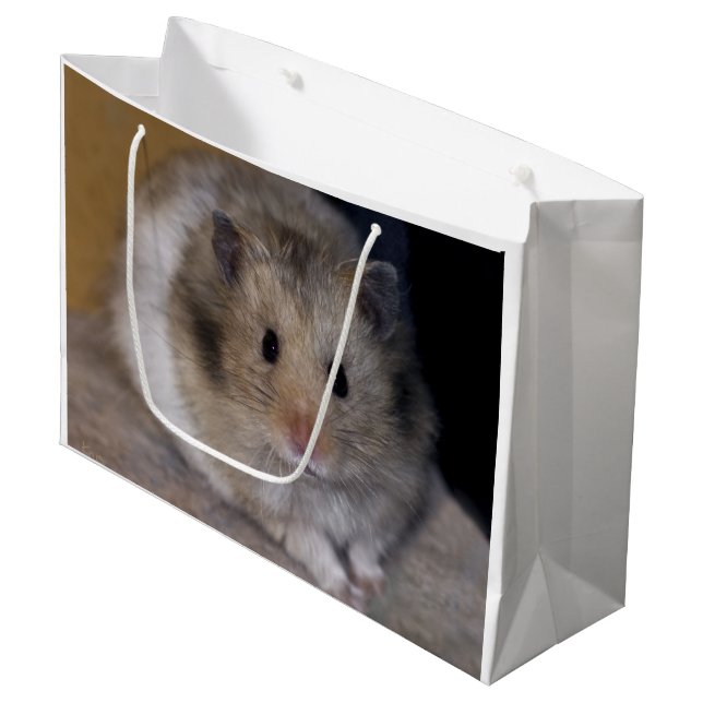 Hammie Gift Bag (Front Angled)