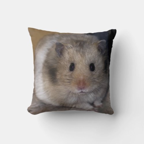 Hammie Pillow