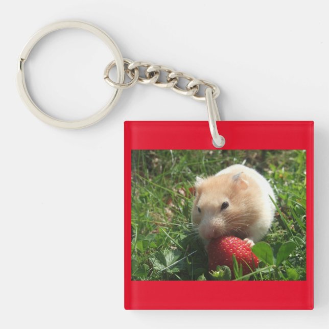 Hammies With Strawberries Keychain (Front)