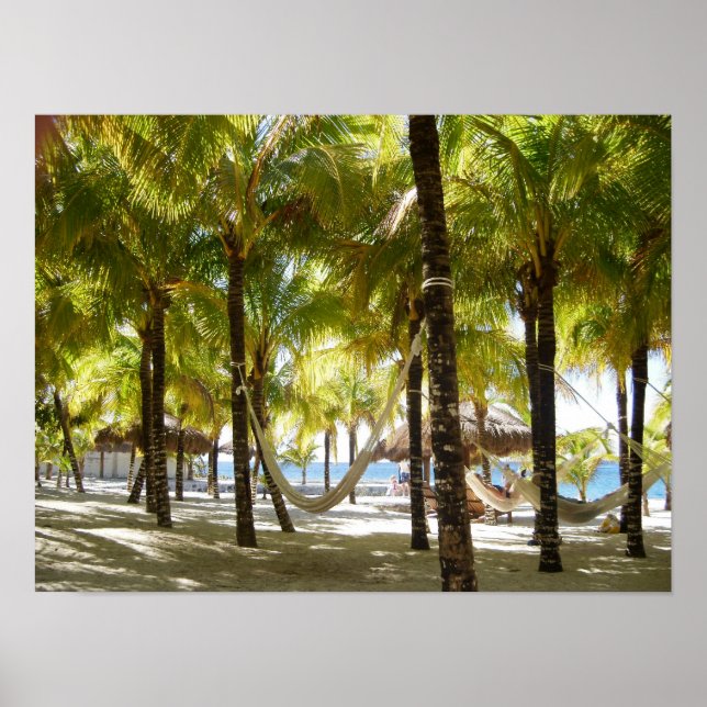 Hammock and palm trees by the ocean Poster (Front)
