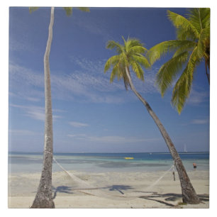 Hammock and palm trees, Plantation Island Resort Tile