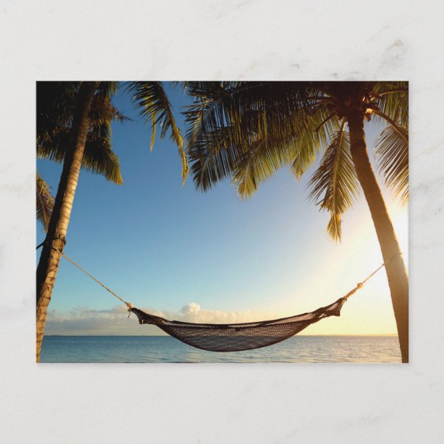 Hammock Between Palm Trees on Tropical Beach Postcard (Front)