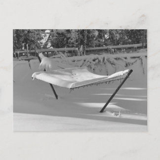 Hammock in the Snow Postcards