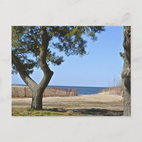 Hammonasset Beach Postcard