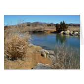 Hammonasset In March (Front Horizontal)