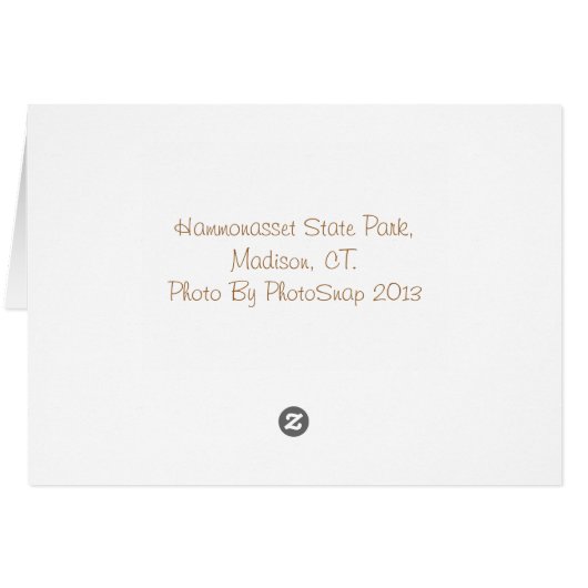 Hammonasset In March (Back Horizontal)