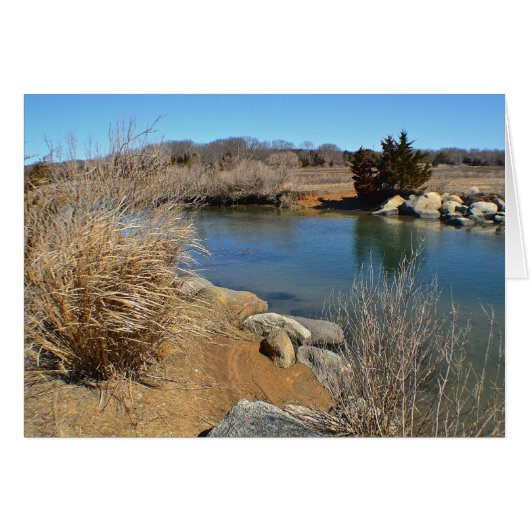 Hammonasset In March Cards (Front Horizontal)