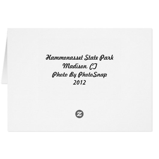 Hammonasset Notcard (Back Horizontal)