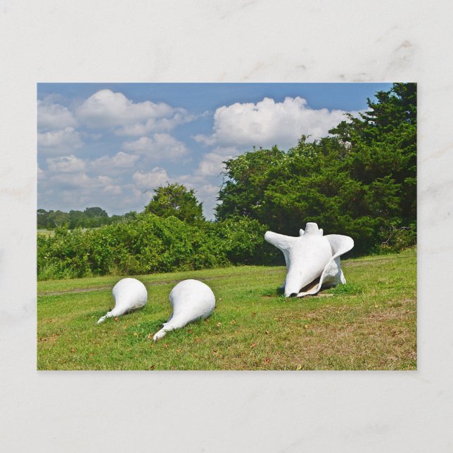 Hammonasset Postcard (Front)