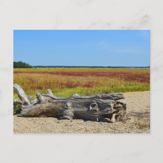 Hammonasset Postcard (Front)