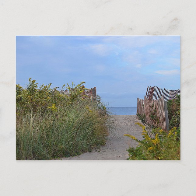 Hammonasset Postcard (Front)