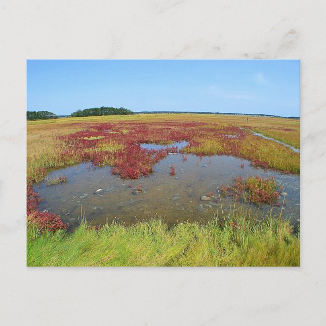 Hammonasset Postcard (Front)