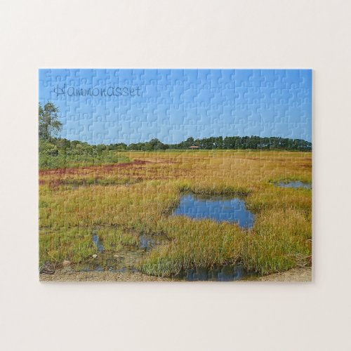 Hammonasset Puzzle