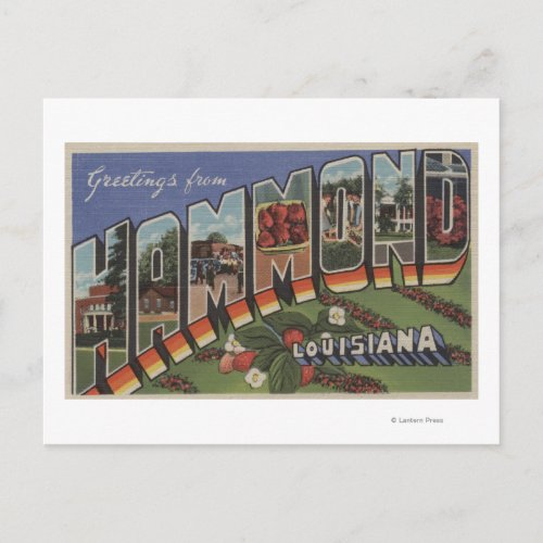 Hammond Louisiana _ Large Letter Scenes Postcard