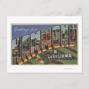 Hammond, Louisiana - Large Letter Scenes Postcard