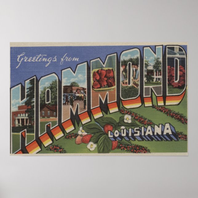 Hammond, Louisiana - Large Letter Scenes Poster (Front)