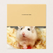 Hammyville - Cute Hamster (Outside Unfolded)