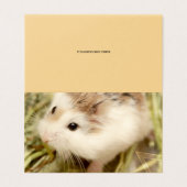 Hammyville - Cute Hamster (Outside Unfolded)