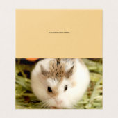 Hammyville - Cute Hamster (Outside Unfolded)