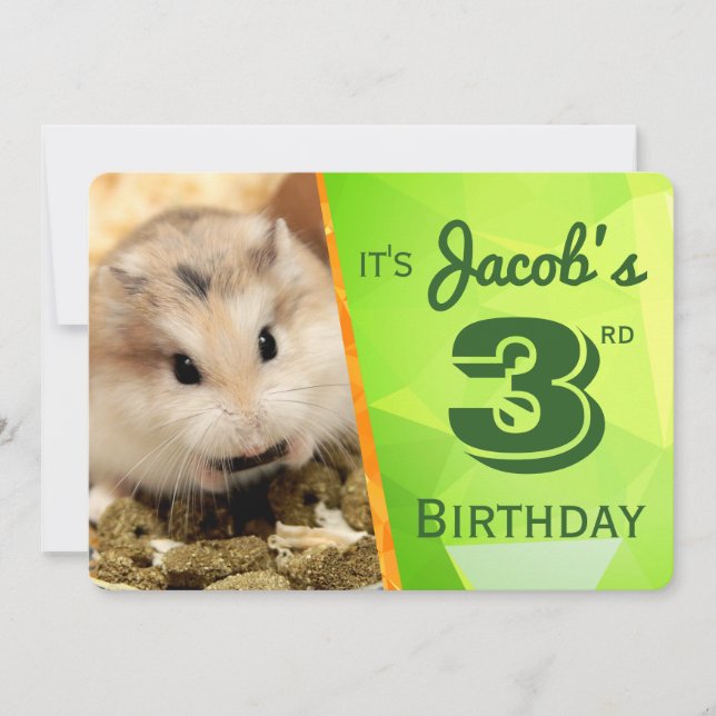 HammyVille - Cute Hamster Birthday Invitation Card (Front)