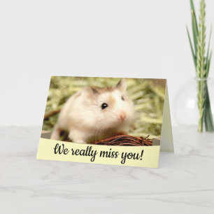 Hammyville - Cute Hamster Card
