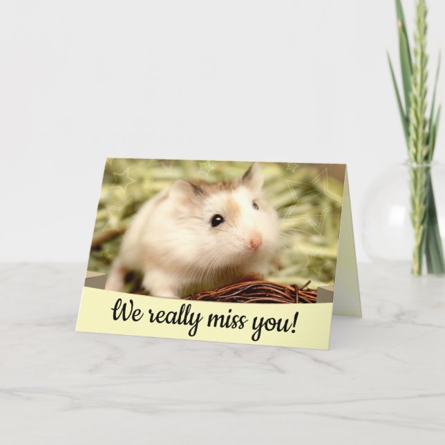 Hammyville - Cute Hamster Card (Front)
