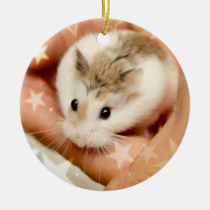 Hammyville - Cute Hamster Ceramic Ornament