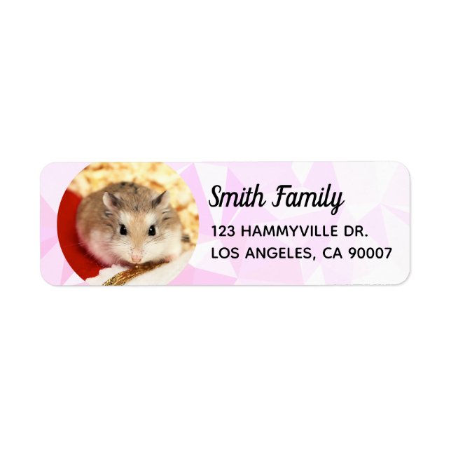 Hammyville - Cute Hamster Cool Geometric Label (Front)