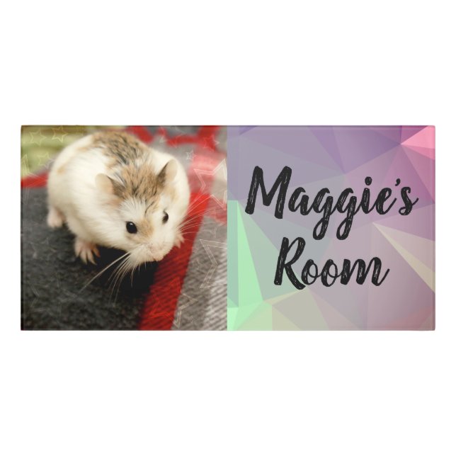 Hammyville - Cute Hamster Door Sign (Classic Front)