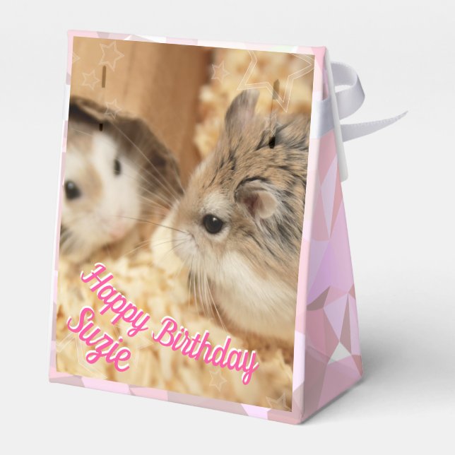 Hammyville - Cute Hamster Favor Boxes (Back Side)