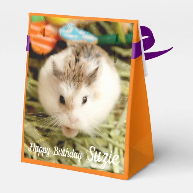 Hammyville - Cute Hamster Favor Boxes (Back Side)