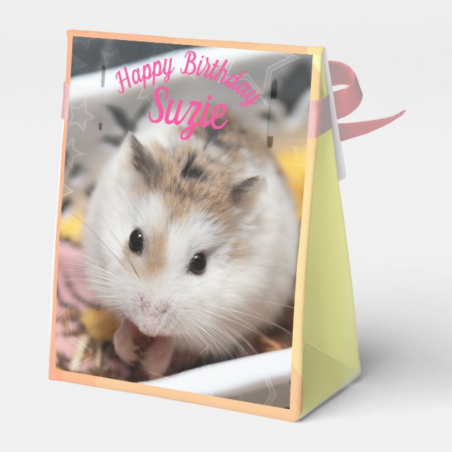 Hammyville - Cute Hamster Favor Boxes (Back Side)