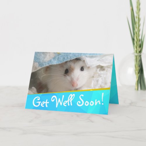 Hammyville _ Cute Hamster Get Well Soon Card