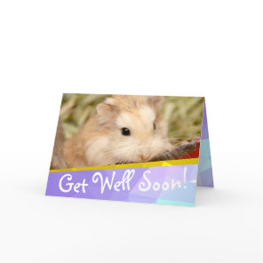 Hammyville - Cute Hamster Get Well Soon Card